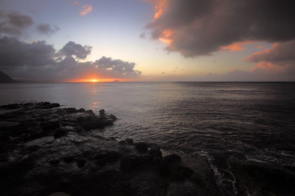 IMG_7869.jpg