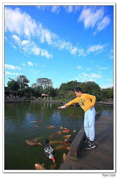 nEO_IMG_IMG_0895.jpg