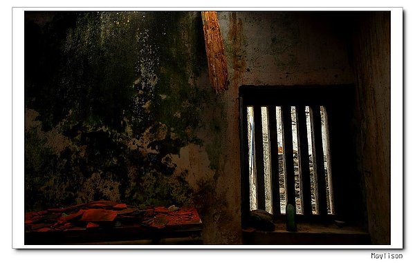 nEO_IMG_IMG_9751.jpg
