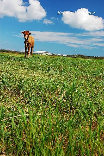 nEO_IMG_DSC_0024.jpg