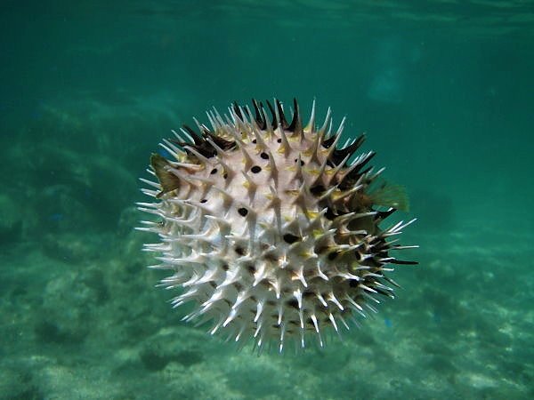 F23_20090428114550186.jpg