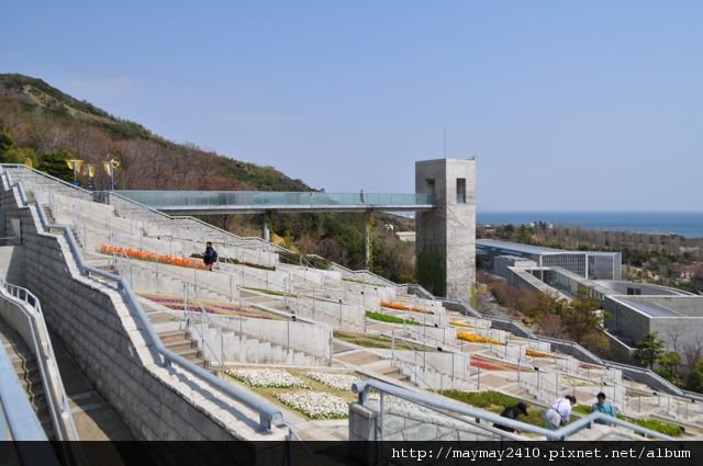 日本賞櫻＠淡路島30