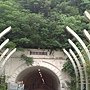 20130725504