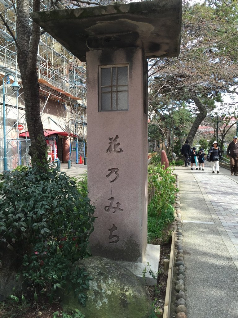 手塚4.JPG