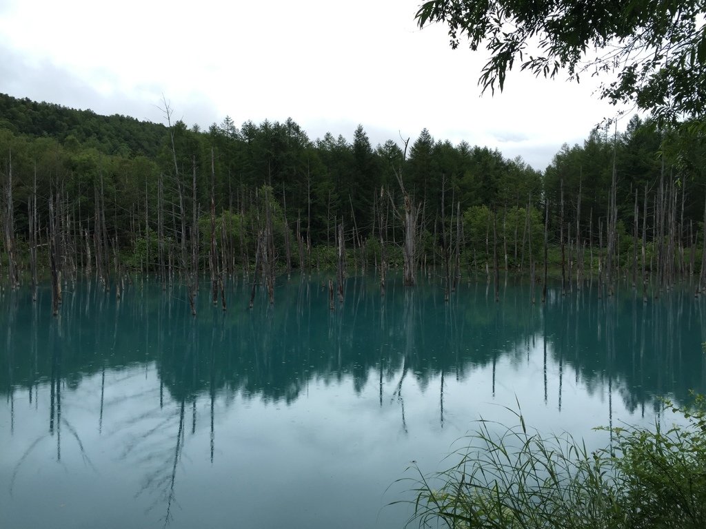 青池6.JPG