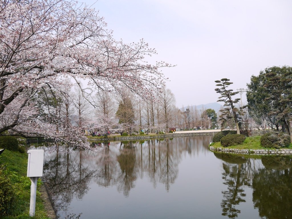 小城公園10.JPG