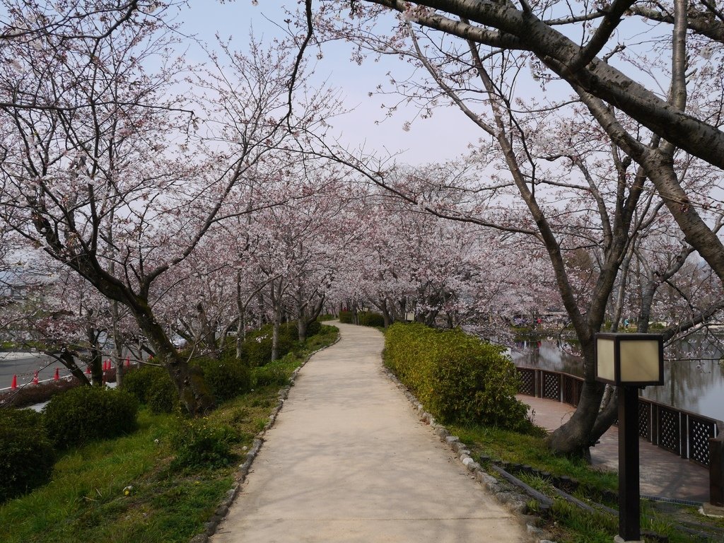 小城公園11.JPG