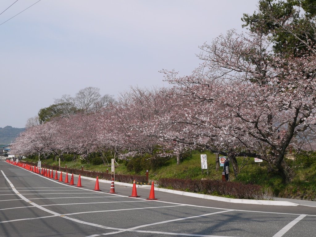 小城公園08.JPG
