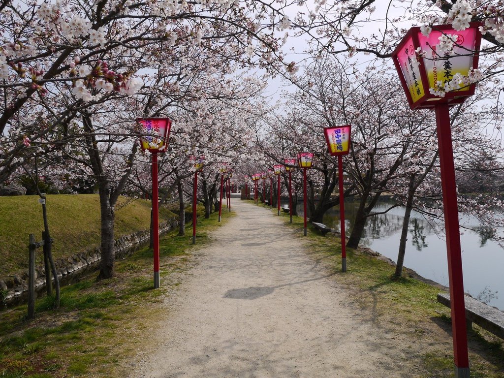 小城公園13.JPG
