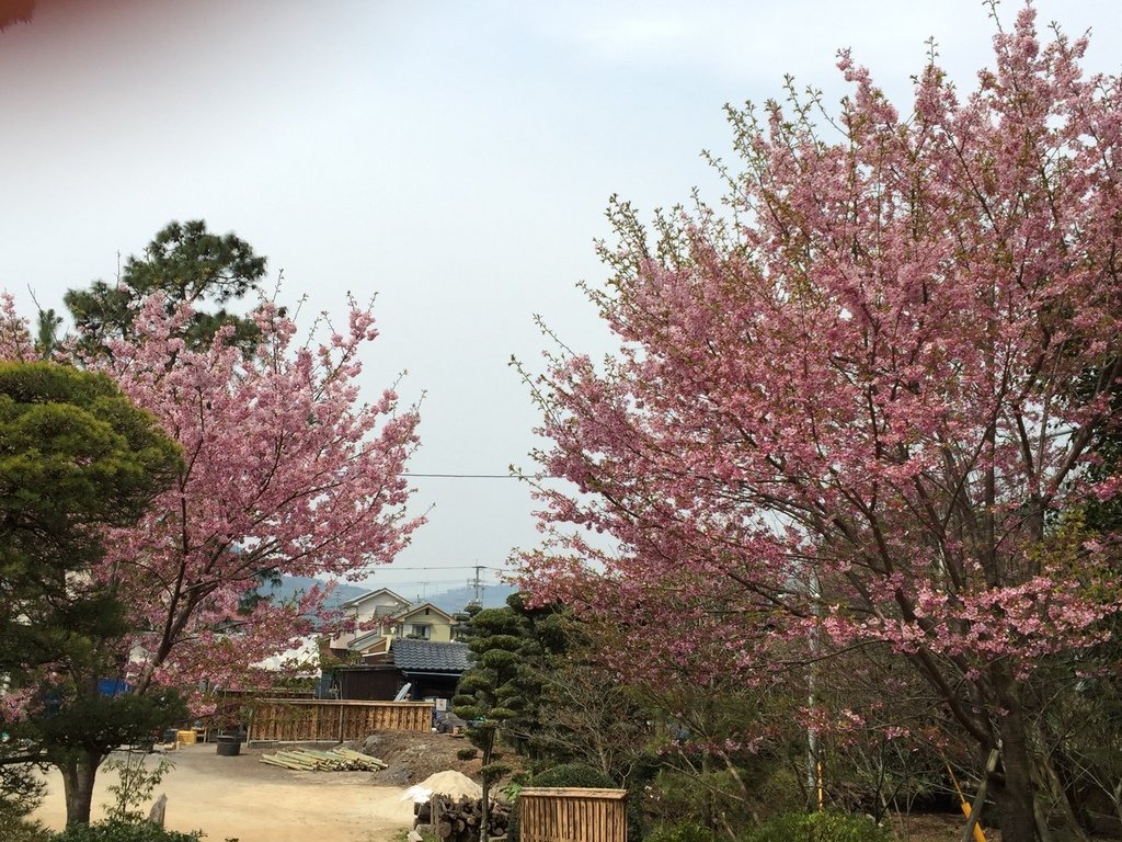 小城公園14.jpg