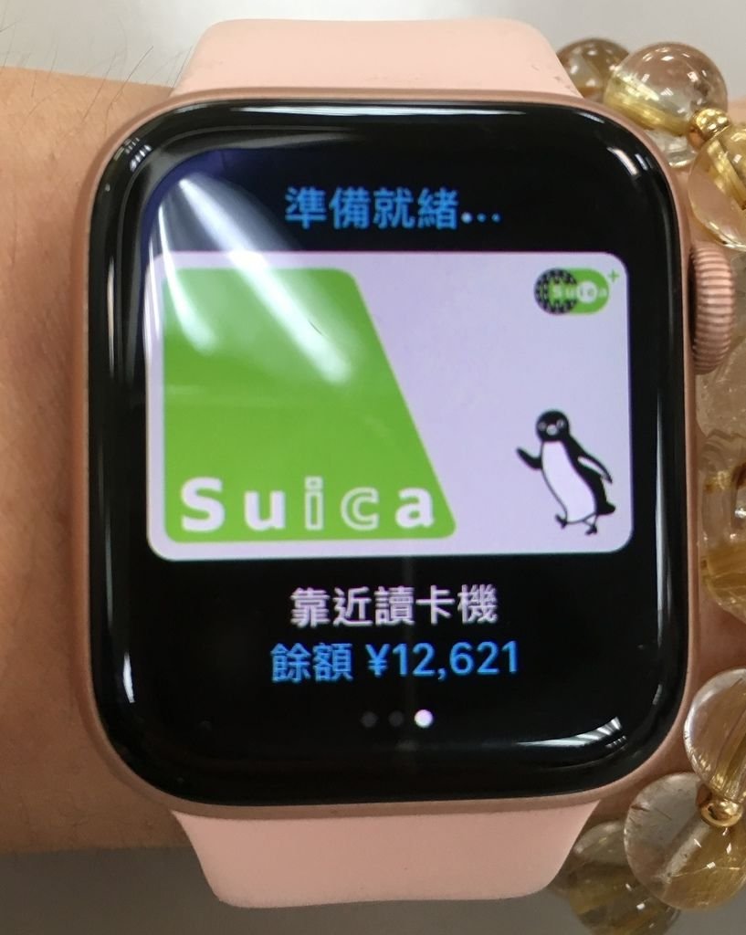 suica001.JPG