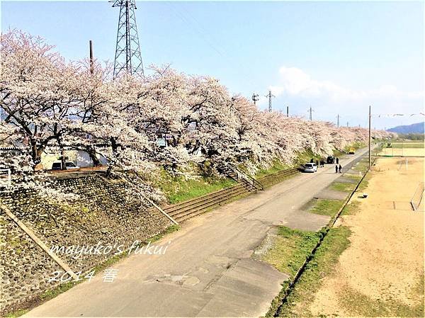 Mayuko福井深度遊 2014~2020年景點(桌機版觀看