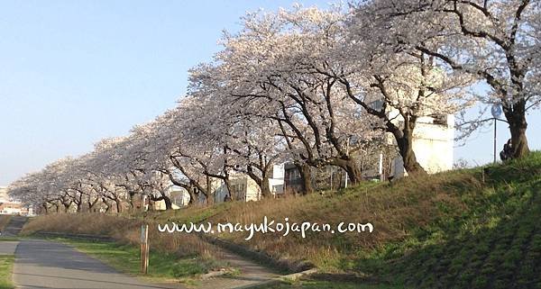 Mayuko福井深度遊 2014~2020年景點(桌機版觀看