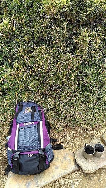 P_20151125_130141-01.jpeg