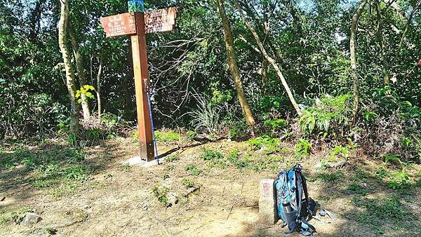 P_20181025_102411_HDR-01.jpeg