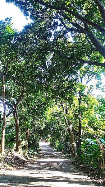 P_20181025_090425_HDR-01.jpeg
