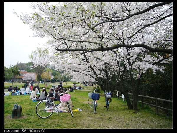 來到這個什麼公園(忘惹XD)