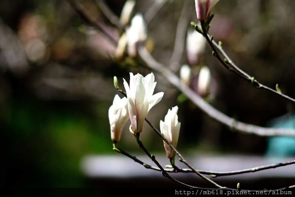 DSCF9389.jpg