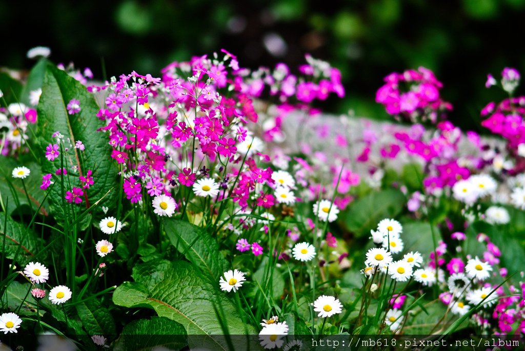 DSCF9422.jpg