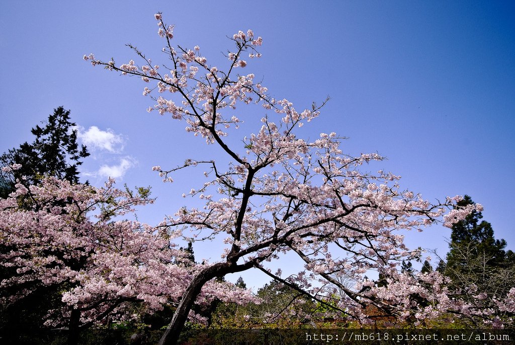 DSCF9173.jpg