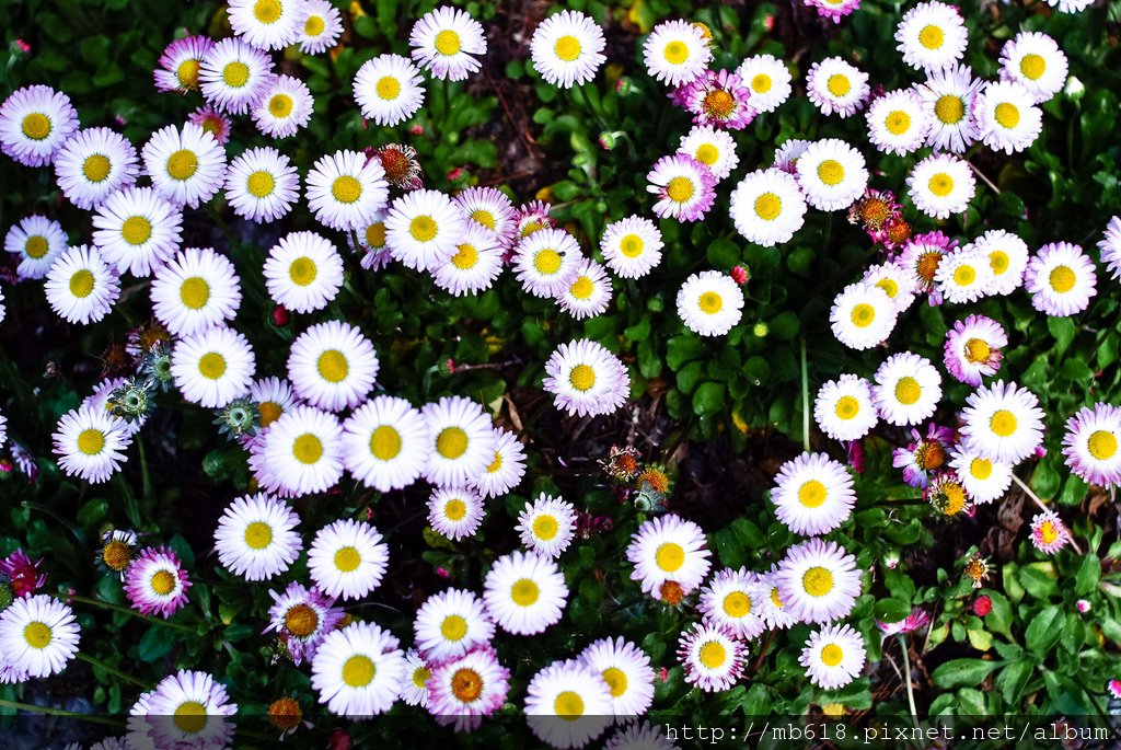 DSCF9270.jpg
