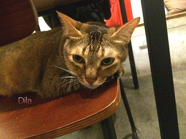 IMG_5178_meitu_4.jpg