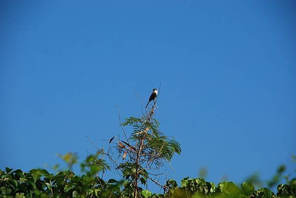 DSC_3117.jpg