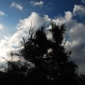 DSC_3457.jpg