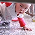 IMG_3269.JPG