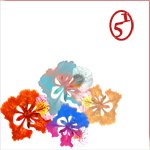 51