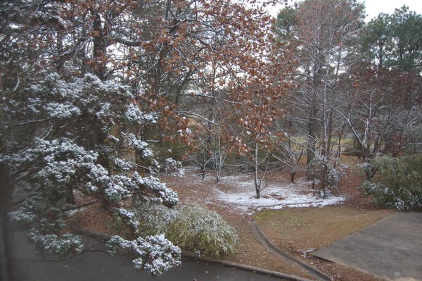 Snow in BHM.JPG