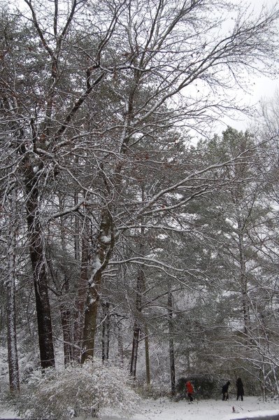 Snow  Birmingham (16).JPG