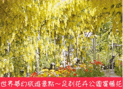 足利花卉公園.png