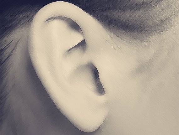 ear.jpg