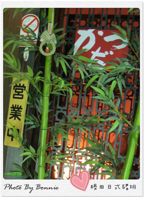 竹子拷貝.jpg