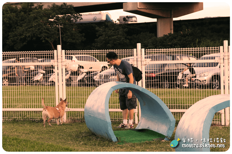 米特，味玩待敘｜部落格 © MEAT76｜台灣美食旅遊部落客｜2014-08-30-6《毛小孩玩樂筆記》【台北松山。遛狗遊記】迎風狗運動公園 × Yingfeng DogRun Area｜狗狗專屬玩樂地，河濱公園基河6號水門 → 近民權大橋 (20140531整修後重新開放)018.png