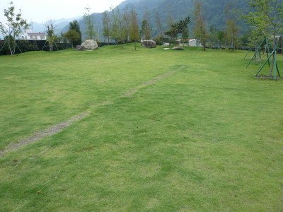 Schokolake-14.jpg