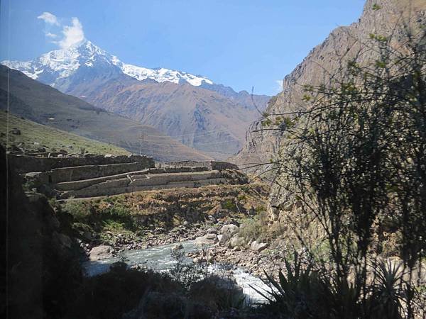 IMG_0605