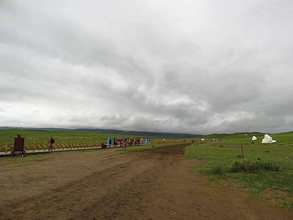 IMG_1221