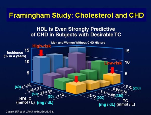 Lipid CAD Framin 0.jpg