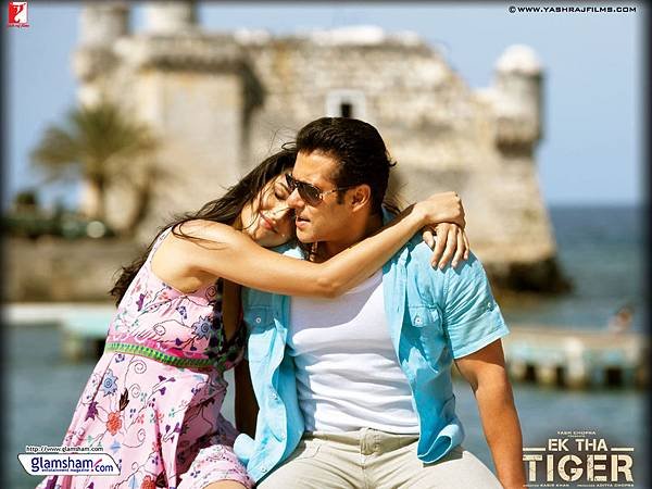 ek-tha-tiger-wallpaper-26-12x9.jpg