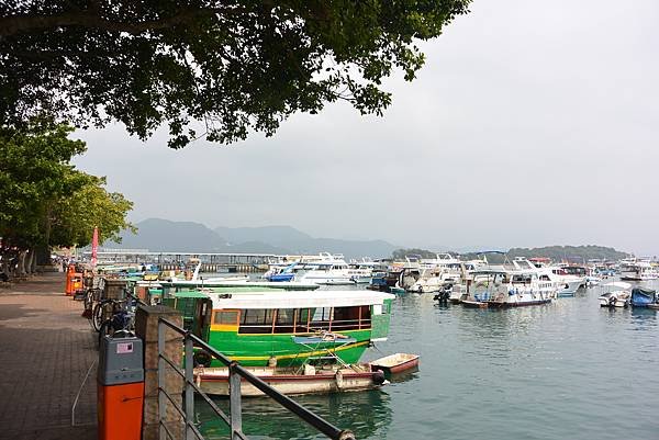 DSC_2116.JPG