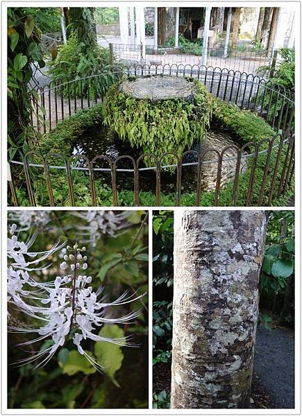 植物園