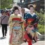 真假藝妓??