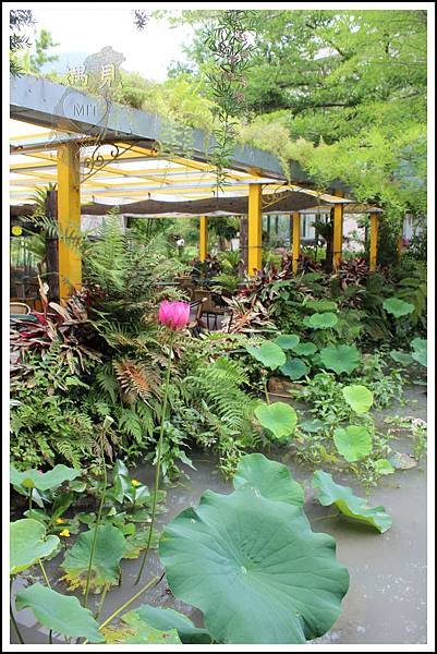 MeetinTaiwan - Tai Yi Ecological Leisure Farm 台一生態休閒農場007.jpg