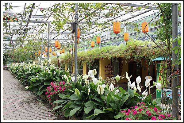 MeetinTaiwan - Tai Yi Ecological Leisure Farm 台一生態休閒農場009.jpg