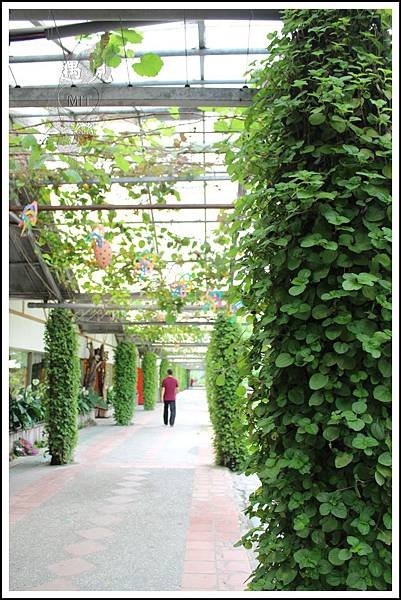 MeetinTaiwan - Tai Yi Ecological Leisure Farm 台一生態休閒農場011.jpg