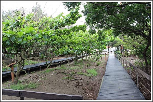 PhotoCap_034.jpg