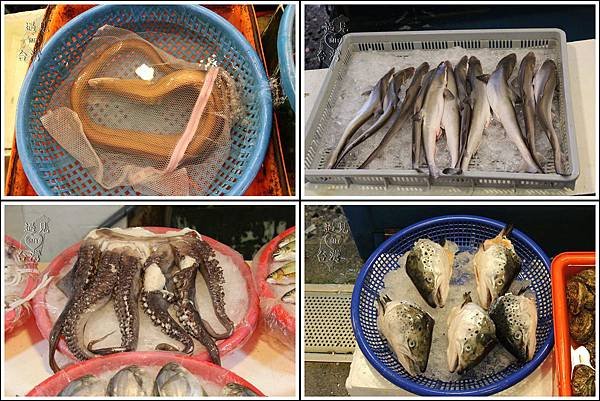 seefood.jpg