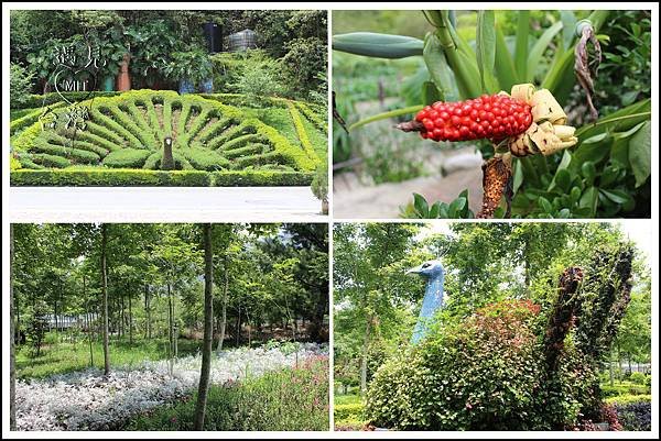 MeetinTaiwan - Tai Yi Ecological Leisure Farm 台一生態休閒農場006-2.jpg